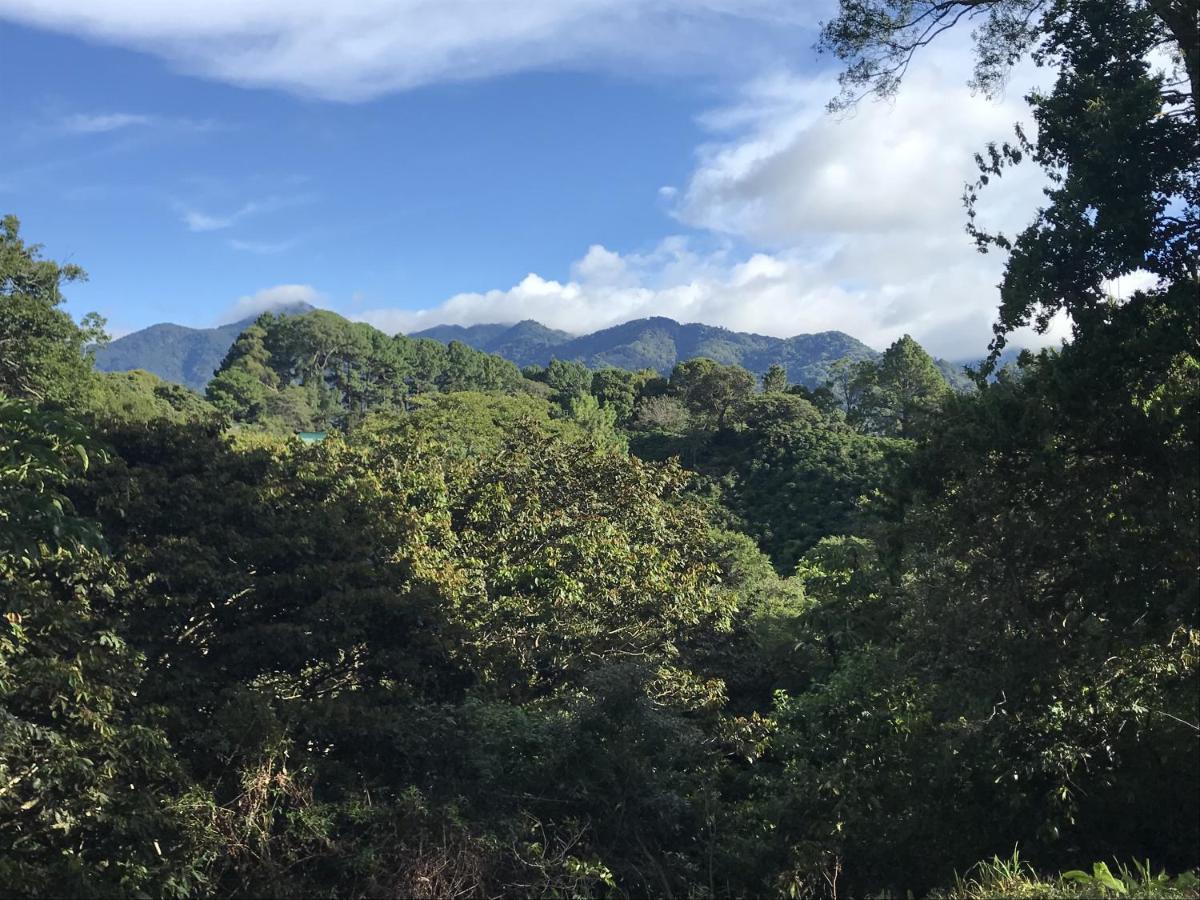 Casitas Vista Verde Bajo Boquete Eksteriør bilde