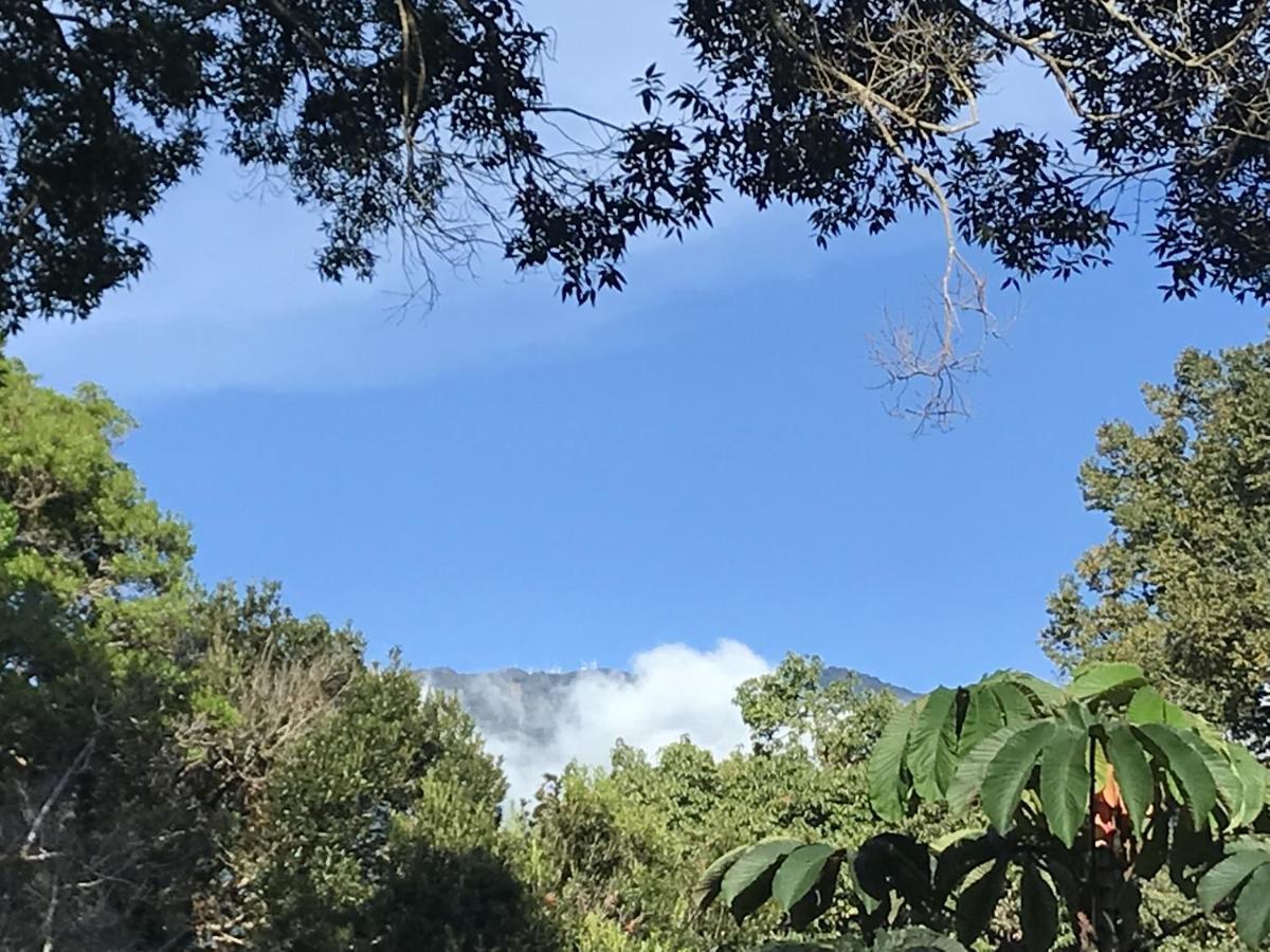 Casitas Vista Verde Bajo Boquete Eksteriør bilde