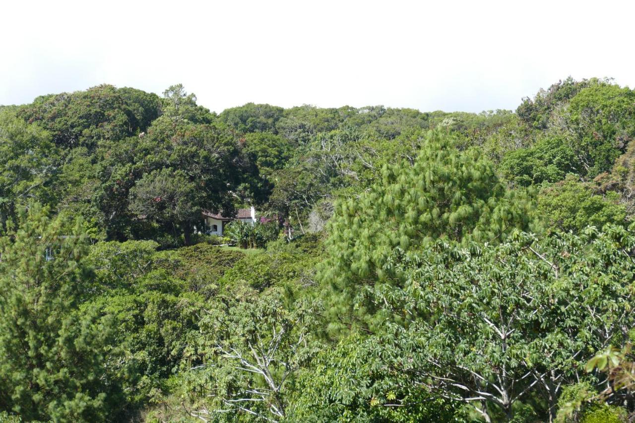 Casitas Vista Verde Bajo Boquete Eksteriør bilde