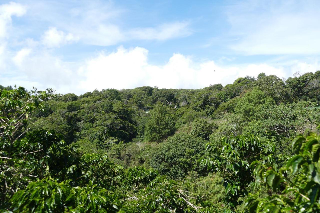Casitas Vista Verde Bajo Boquete Eksteriør bilde