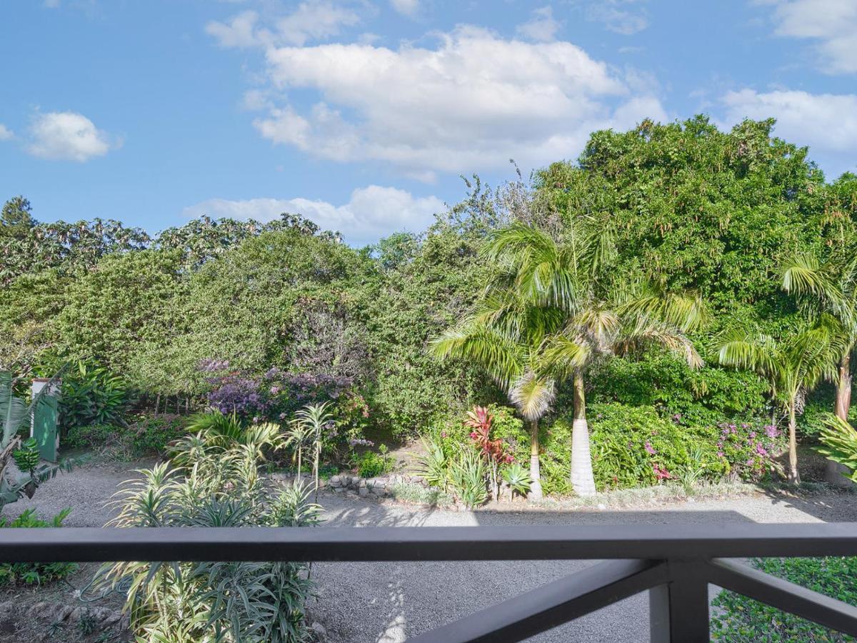 Casitas Vista Verde Bajo Boquete Eksteriør bilde